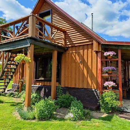 Zalioji Villa Padustis Bagian luar foto