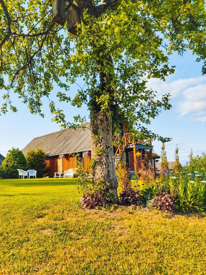 Zalioji Villa Padustis Bagian luar foto