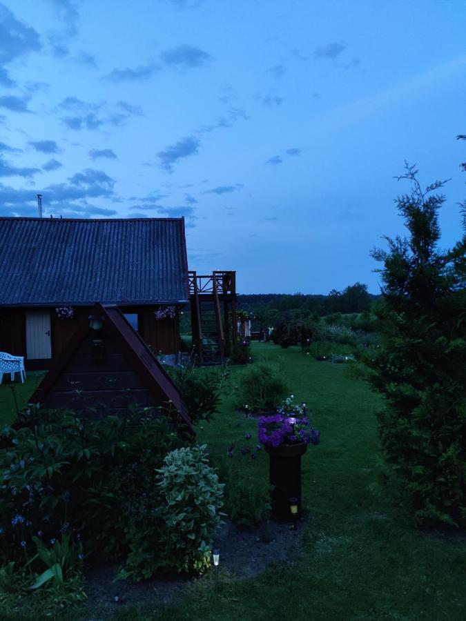 Zalioji Villa Padustis Bagian luar foto