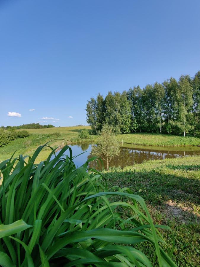 Zalioji Villa Padustis Bagian luar foto