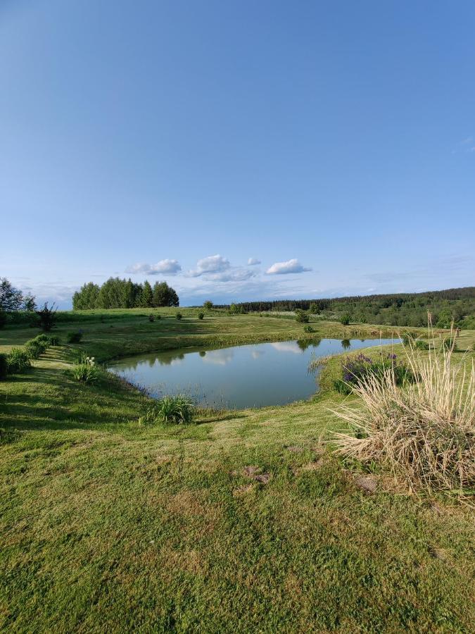 Zalioji Villa Padustis Bagian luar foto