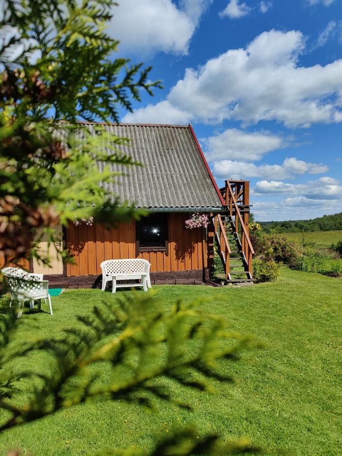 Zalioji Villa Padustis Bagian luar foto