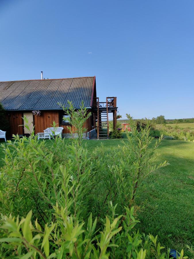 Zalioji Villa Padustis Bagian luar foto