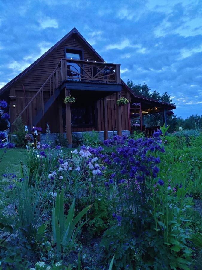 Zalioji Villa Padustis Bagian luar foto
