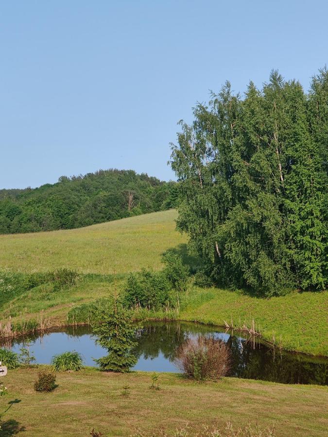 Zalioji Villa Padustis Bagian luar foto