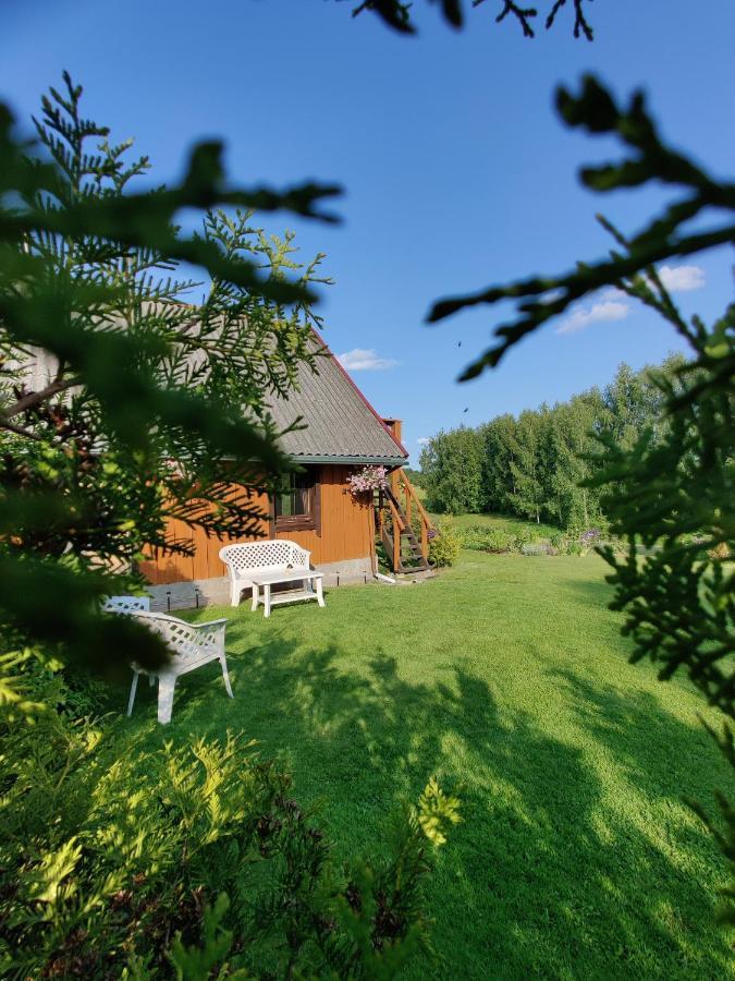 Zalioji Villa Padustis Bagian luar foto