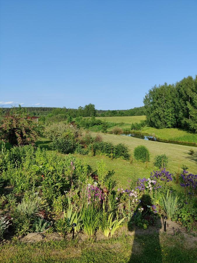 Zalioji Villa Padustis Bagian luar foto