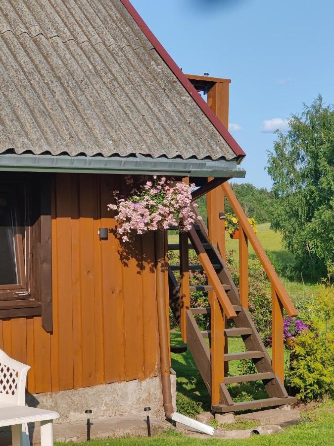 Zalioji Villa Padustis Bagian luar foto