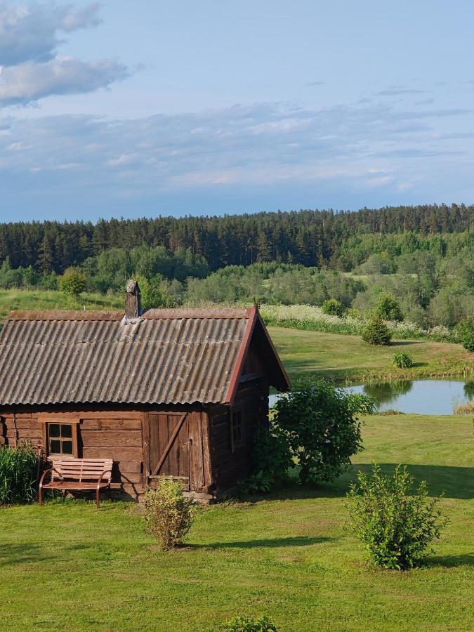 Zalioji Villa Padustis Bagian luar foto