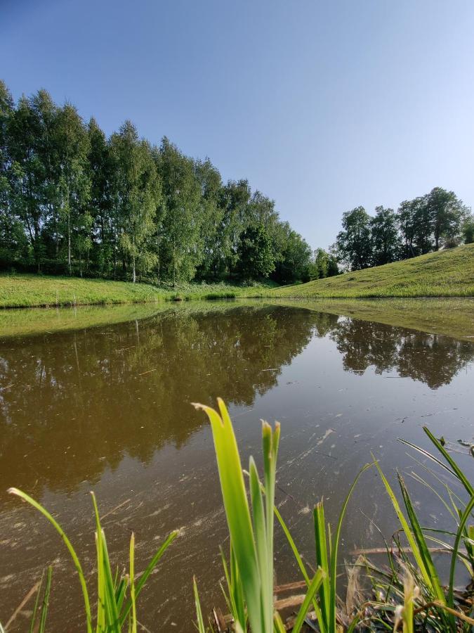 Zalioji Villa Padustis Bagian luar foto