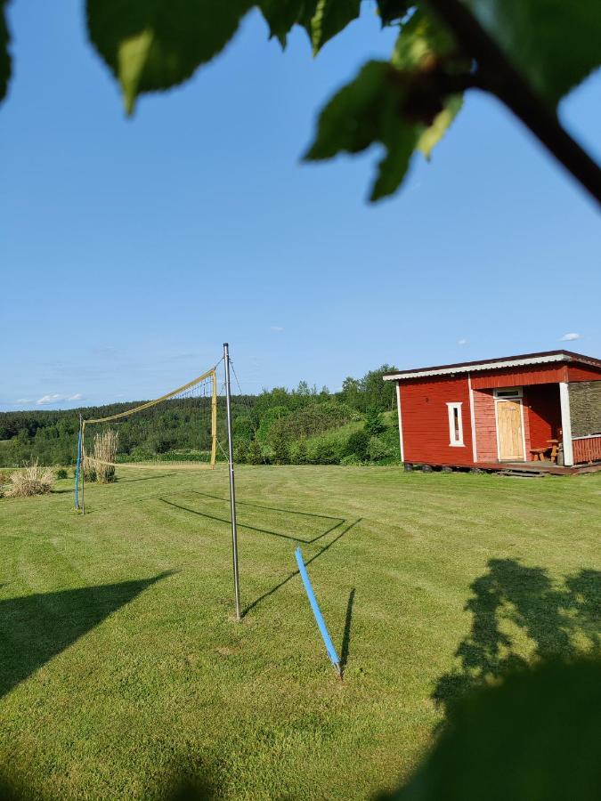 Zalioji Villa Padustis Bagian luar foto