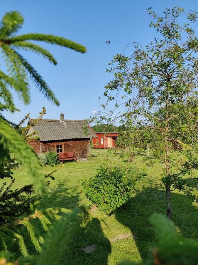 Zalioji Villa Padustis Bagian luar foto