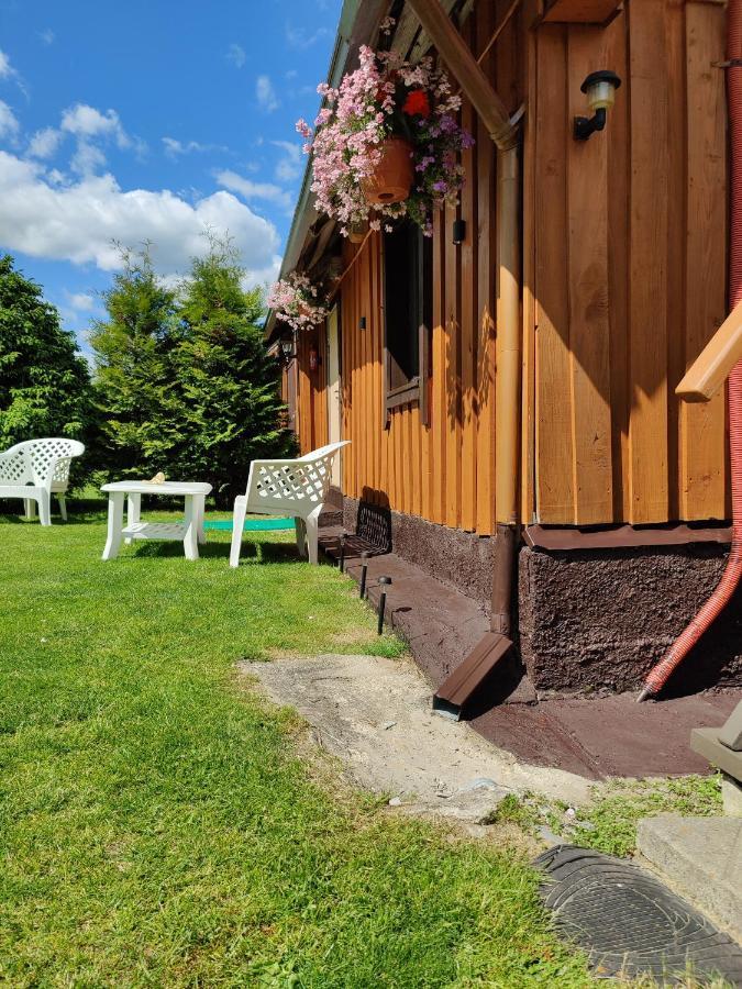 Zalioji Villa Padustis Bagian luar foto