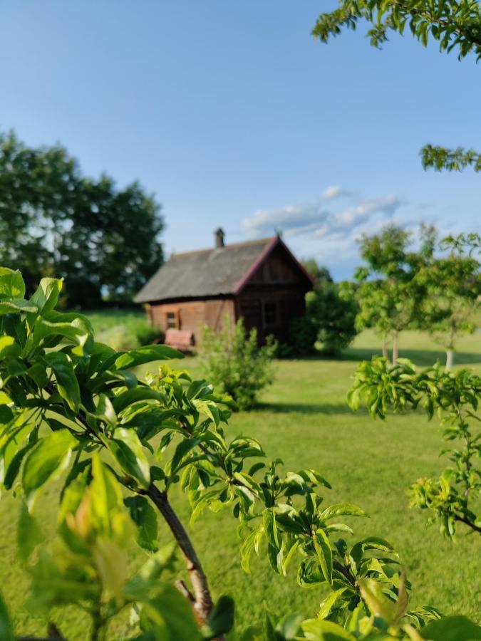 Zalioji Villa Padustis Bagian luar foto